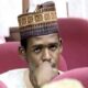 MAINA'S SON JAILED
