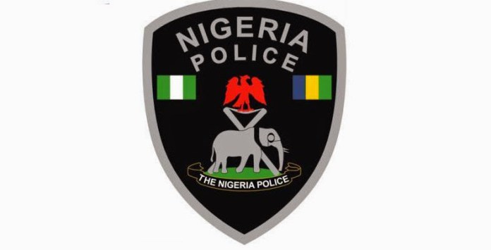 Police arrest suspected robber during operation in Ogun